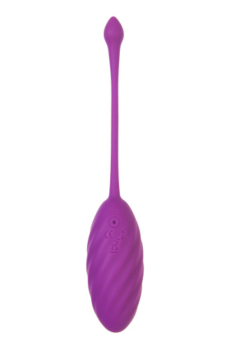 Фиолетовое силиконовое виброяйцо Purr фото 3 Фиолетовое силиконовое виброяйцо Purr фото 3