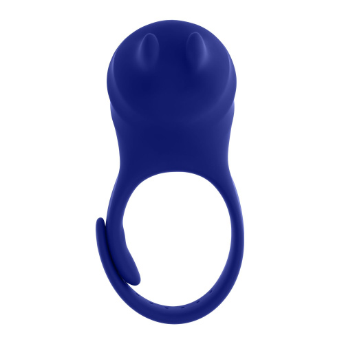 Синее эрекционное виброкольцо с клиторальной подушечкой и пультом ДУ Adjustable Fun Ring фото 3