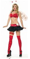 Яркий костюм божьей коровки Lady Bug