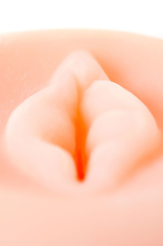 Телесная насадка-вагина на помпу PRETTY PUSSY фото 5