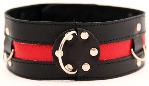 Чёрный ошейник с красной полосой Чёрный ошейник с красной полосой