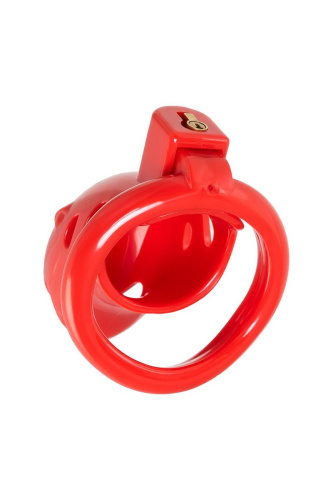 Красный мужской пояс верности из пластика фото 4 Красный мужской пояс верности из пластика фото 4