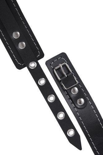 Черный узкий однослойный ошейник с серебристым поводком-цепочкой фото 9 Черный узкий однослойный ошейник с серебристым поводком-цепочкой фото 9