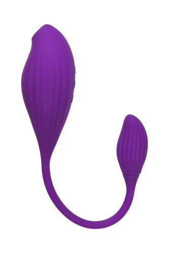 Фиолетовый вакуумный стимулятор клитора Ginny с виброяйцом фото 4