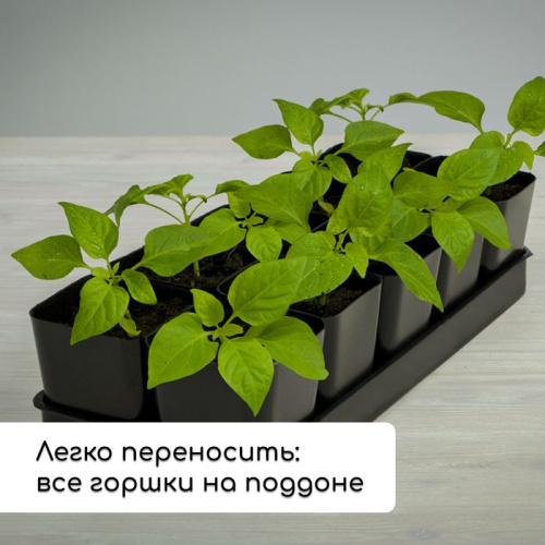 Набор для рассады: 12 стаканов (300 мл.) и поддон (43х18 см) фото 7