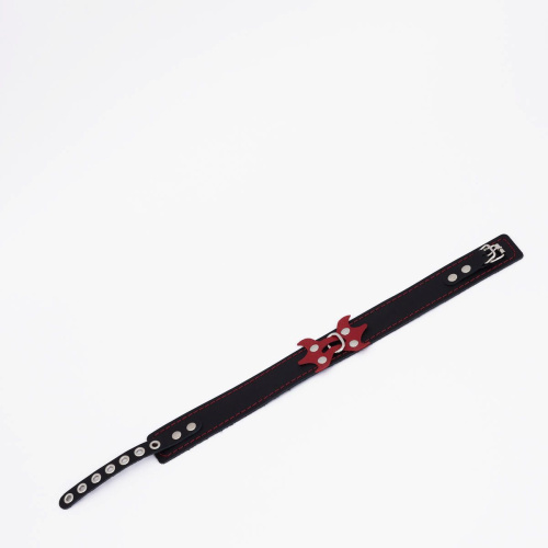 Черный ошейник с красным декором и строчкой Черный ошейник с красным декором и строчкой