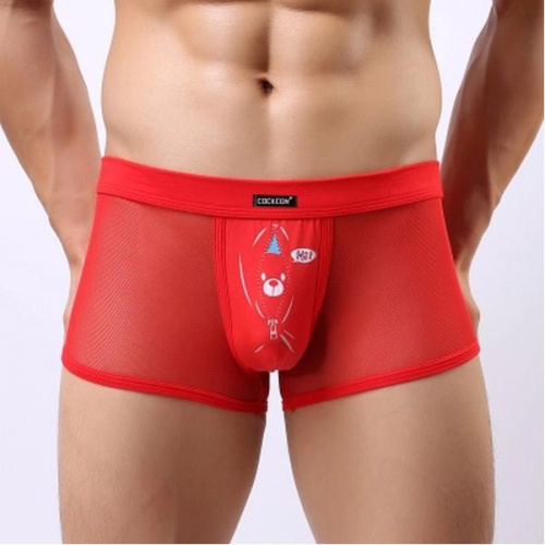 Мужские трусы-боксеры из сетки Cockcon Unzip-Me Boxer с пикантным принтом фото 4