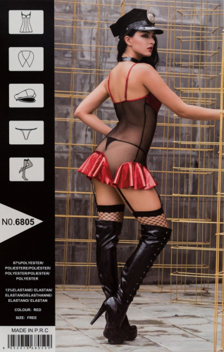 Обольстительное прозрачное платье и аксессуары для полисвуман фото 2 Обольстительное прозрачное платье и аксессуары для полисвуман фото 2