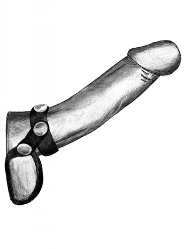 Черное эрекционное лассо на пенис и мошонку на заклепках фото 2