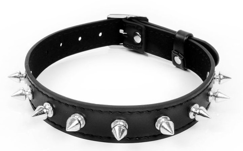 Черный ошейник с серебристыми шипами Черный ошейник с серебристыми шипами