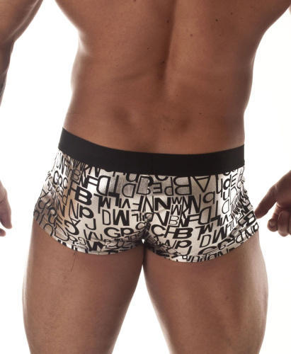 Серебристые трусы-хипсы с черными буквами фото 2 Серебристые трусы-хипсы с черными буквами фото 2