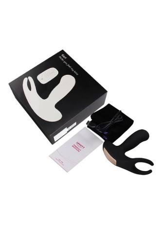 Стимулятор простаты Levett Earl с 2 моторами и пультом ДУ фото 4