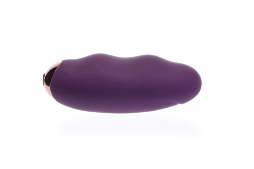 Вибропульт дистанционного управления Ms.Minnie