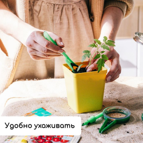 Набор для рассады: 18 стаканов (200 мл.) и поддон (36,5х17 см) фото 5