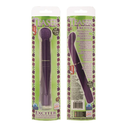 Фиолетовый вибратор с загнутым кончиком i9 Teaser Exciters - 17 см. фото 2 Фиолетовый вибратор с загнутым кончиком i9 Teaser Exciters - 17 см. фото 2