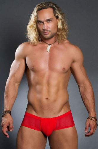 Мужские трусы-боксеры с полупрозрачными элементами Doreanse Net фото 5 Мужские трусы-боксеры с полупрозрачными элементами Doreanse Net фото 5