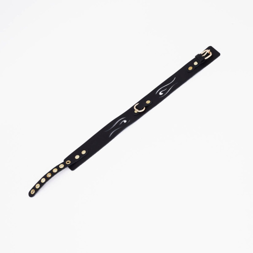 Черный кожаный ошейник с золотистой фурнитурой Черный кожаный ошейник с золотистой фурнитурой