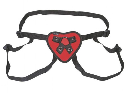 Красно-черные трусики-джоки с фиксацией насадки кольцом Красно-черные трусики-джоки с фиксацией насадки кольцом