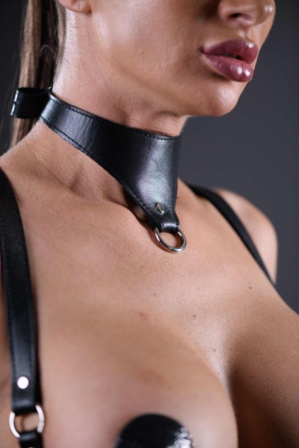 Оригинальный гладкий кожаный ошейник Black Phoenix фото 3