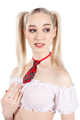 Костюм  Американская школьница  - верх фото 3