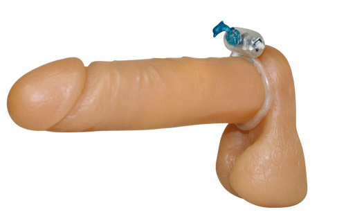 Виброкольцо Little Dolphin фото 2