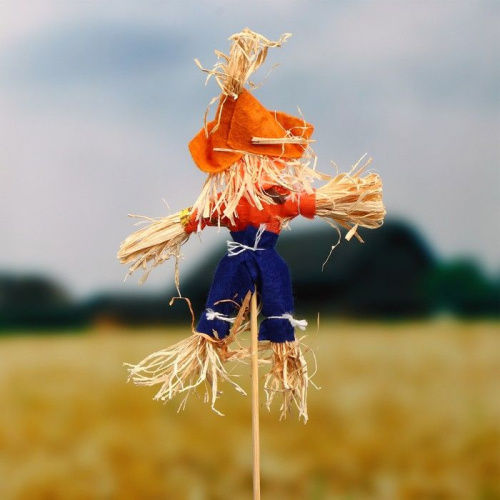 Огородное пугало «Тыква» - 50 см. фото 2 Огородное пугало «Тыква» - 50 см. фото 2