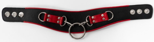 Черно-красный ошейник с колечками фото 3