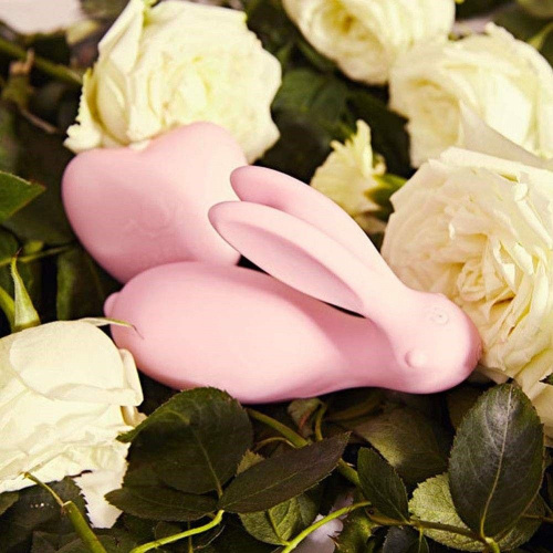 Нежно-розовый мини-вибратор в форме зайчика с пультом ДУ фото 3
