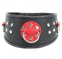 Кожаный ошейник с клепками и кольцами