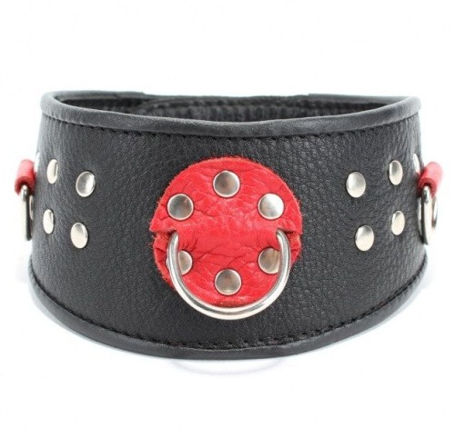 Кожаный ошейник с клепками и кольцами Кожаный ошейник с клепками и кольцами