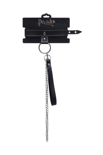 Черный узкий однослойный ошейник с серебристым поводком-цепочкой фото 8 Черный узкий однослойный ошейник с серебристым поводком-цепочкой фото 8