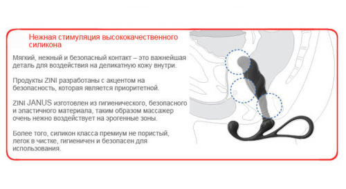 Средний черный массажер простаты ZINI JANUS ANTI-SHOCK фото 5