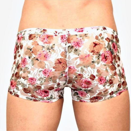 Мужские сетчатые трусы-боксеры с розами фото 3 Мужские сетчатые трусы-боксеры с розами фото 3