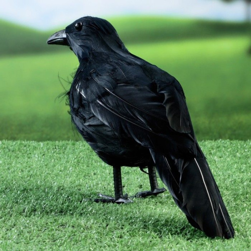 Черная садовая фигура «Ворон» фото 3