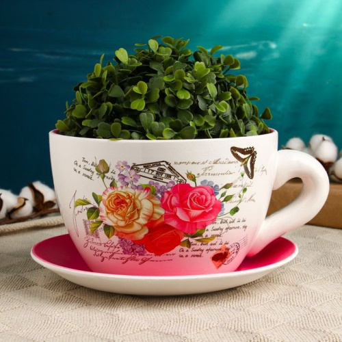 Горшок в форме чашки с розами «Блум» фото 2