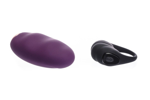 Вибропульт дистанционного управления Ms.Minnie фото 3