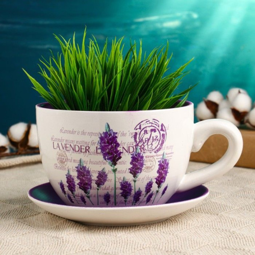 Горшок в форме чашки с лавандой «Эмма» фото 2 Горшок в форме чашки с лавандой «Эмма» фото 2