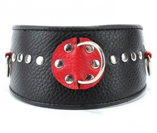 Черно-красный кожаный ошейник с металлическими клепками Черно-красный кожаный ошейник с металлическими клепками