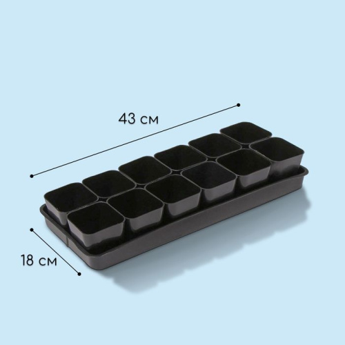 Набор для рассады: 12 стаканов (300 мл.) и поддон (43х18 см) фото 3