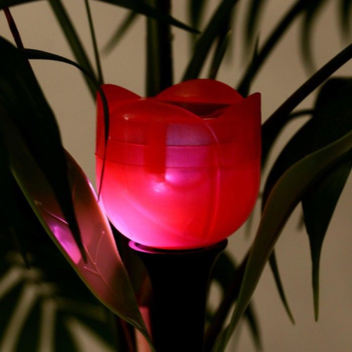 Садовый светильник на солнечной батарее «Тюльпан красный» фото 8