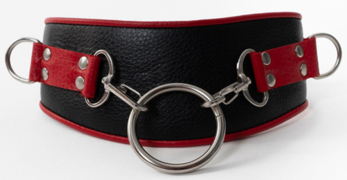 Черно-красный ошейник с колечками фото 2