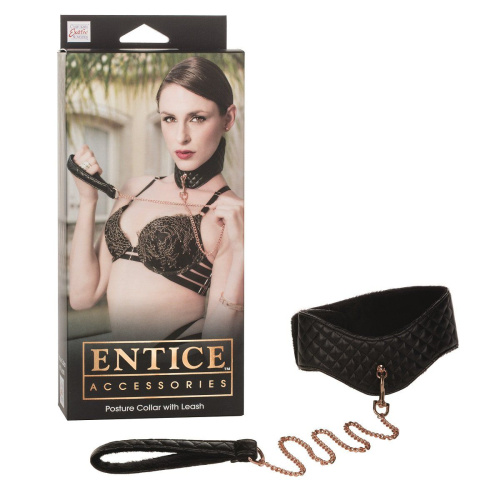 Ошейник с поводком Entice Posture Collar with Leash фото 2