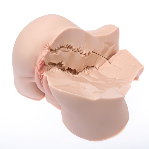 Мастурбатор-полуторс Naked Factory Nicole фото 3 Мастурбатор-полуторс Naked Factory Nicole фото 3