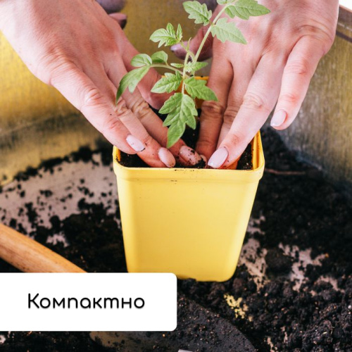 Набор для рассады: 18 стаканов (200 мл.) и поддон (36,5х17 см) фото 8