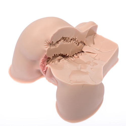 Мастурбатор-полуторс Naked Factory Kate фото 2 Мастурбатор-полуторс Naked Factory Kate фото 2