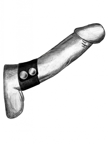 Черный ремень-утяжка на пенис на заклепках фото 2