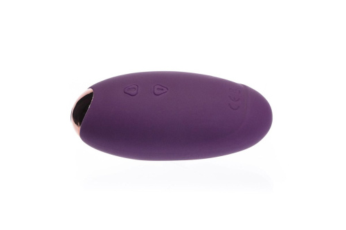 Вибропульт дистанционного управления Ms.Minnie фото 2