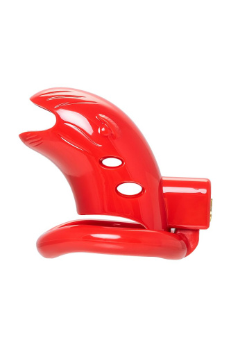 Красный мужской пояс верности из пластика фото 3 Красный мужской пояс верности из пластика фото 3