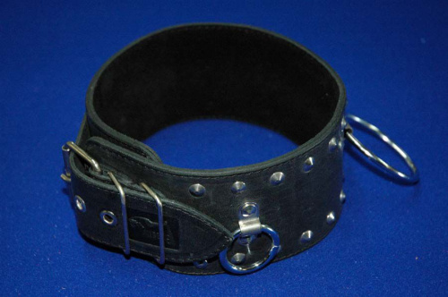 Черный подшитый ошейник с большим кольцом фото 3