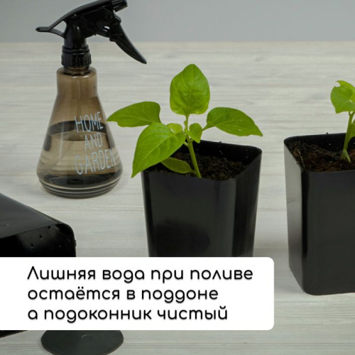 Набор для рассады: 12 стаканов (300 мл.) и поддон (43х18 см) фото 6